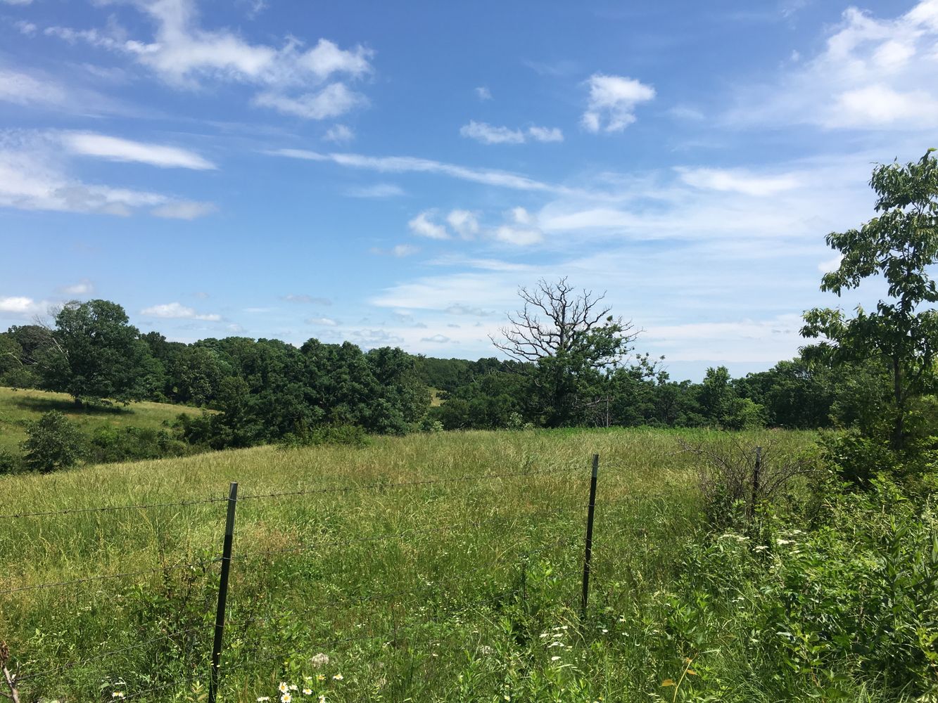 4897 & 4878 Norman Drive, Hartville, MO 65667